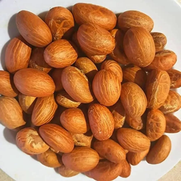 FRESH Natural Organic African Bitter Kola Nuts, Non-GMO - Image 2