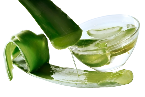 African Aloe Vera Gel: Nature's Miracle for Skin and Health